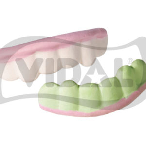 DENTADURAS VIDAL 250 UNIDADES